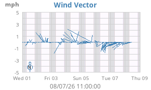Wind Vector